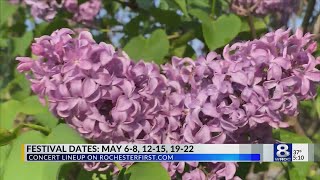 Lilac Festival lineup Free concerts return to Highland Park after 2year hiatus [upl. by Nahbois915]