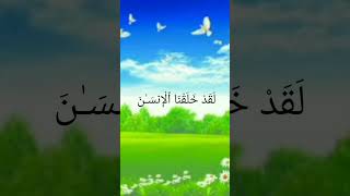 Recitation of surahtin  tilawat Quran yt short  qari zain islamicclips [upl. by Barnebas]