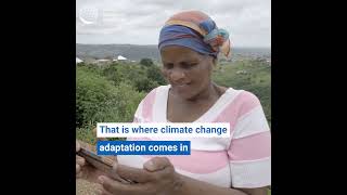 ClimateChange Mitigation vs Adaptation  What is the difference [upl. by Codi]