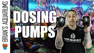 BRS Dosing Pump Setup Guide  Saltwater Aquarium Tips for Beginners [upl. by Calysta]