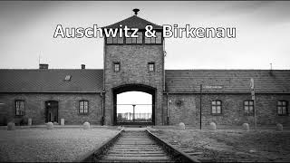 Auschwitz Poem [upl. by Paresh]