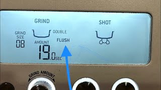 How to Clean  Flush Grinder and shower screen  Breville Barista Pro [upl. by Hild423]