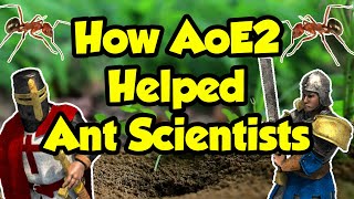 How AoE2 is helping science [upl. by Aynuat]