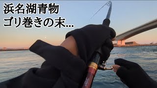 【浜名湖釣り】🎣衝撃！！この引きはまさかの…浜名湖青物チャレンジ🐟 [upl. by Flemings]