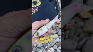 Do you fish glide baits BCS finesse glide has been crushing on the rivers [upl. by Ahterahs216]