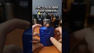 FACTOS SOBRE PERFUMES [upl. by Lorenza]