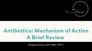 Antibiotics Mechanism of Action  A Brief 5 min Overview for Common Antibiotic Classes [upl. by Adnorhs]