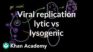 Viral replication lytic vs lysogenic  Cells  MCAT  Khan Academy [upl. by Han]