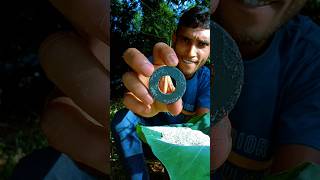 Amazing Experiment camping trap survival outdoors survivalbogura experiment lifehack [upl. by Porcia]