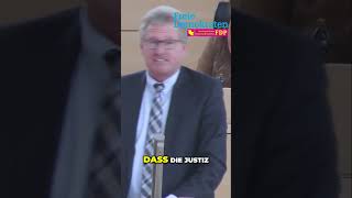 JUSTIZREFORM  Bernd Buchholz Soll die Justiz vorrangig aus dem homeoffice arbeiten fdp [upl. by Assenay498]