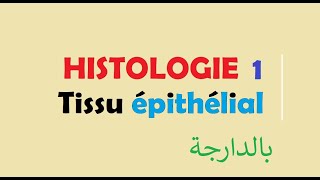 cours HISTOLOGIE Ep 1  Tissu épithélial [upl. by Phillips]