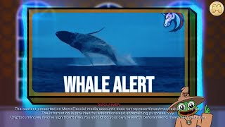 How To Avoid the Whale Trap Spot Big Moves in Crypto  MemeFi [upl. by Occor]