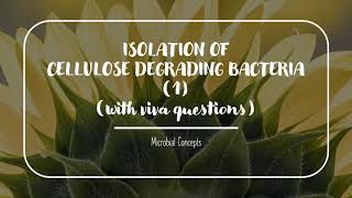 CELLULOSE DEGRADING BACTERIA Cellulases part 1  MSc Microbiology practical series [upl. by Shull676]