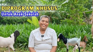 Ternak kambing untuk biaya anak sekolah masih sisa banyak [upl. by Pasco184]