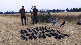 50 Crow Hunting Krähenjagd  Der Himmel wird dunkler  Jagdkrone [upl. by Bobina866]