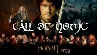 THE HOBBIT  Call Of Home Original Song by Miracle Of Sound [upl. by Petronella]