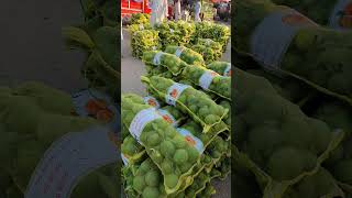 Citrus Family fruit howtomakefruitjuice fruitcultivation streetfood [upl. by Macario195]