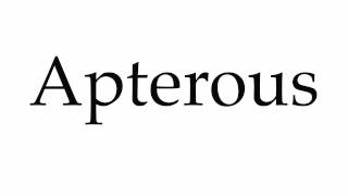 How to Pronounce Apterous [upl. by Llyrehc]