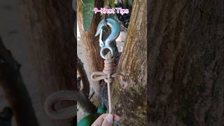 Great TipsSurprising  Rope Hacks and Knots knots tying [upl. by Ainosal]