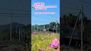 【踏切】山脇踏切 南風９号２７００系特急気動車 秋桜咲く田園を jr四国 踏切 南風 特急列車 踏切カンカン railroad [upl. by Sitra]