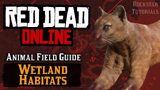 Red Dead Online All Wetland Habitats Animal Field Guide [upl. by Nnylecoj]