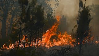 Plus de 40 °C au RoyaumeUni un record historique [upl. by Aisac]