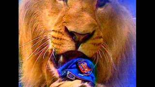 LEONES DEL CARACAS CAMPEONES [upl. by Naharba]