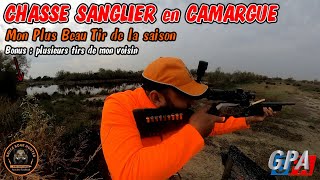 CHASSE SANGLER  Battue en Camargue  mon plus beau tir de la saison [upl. by Qerat424]