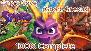 Spyro the Dragon Reignited Trilogy  Gnorc Cove  100 Complete Gameplay [upl. by Ynaffad733]