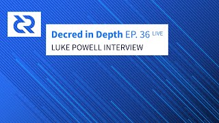 Luke Powell Interview Decred in Depth live [upl. by Iahcedrom]