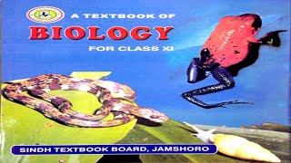 1010 PHYLUM CHORDATA  CHAPTER 10 KINGDOM ANIMALIA  FIRST YEAR BIOLOGY [upl. by Barolet541]