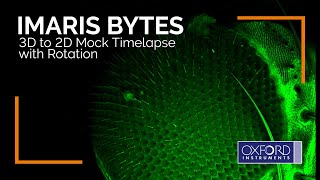 Imaris Bytes  3D to 2D Mock Timelapse with Rotation [upl. by Dag]