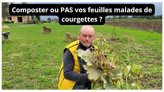 Doiton composter les feuilles malades de courgettes [upl. by Yreneh370]