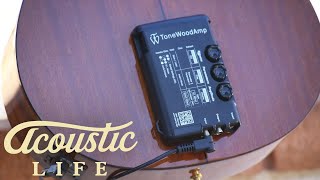 Tonewood Amp Review [upl. by Dami348]