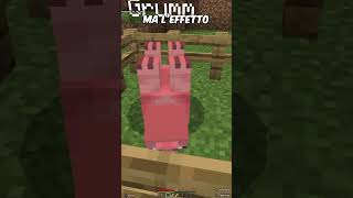 Tutte le Targhette SPECIALI e le loro Funzioni SEGRETE di Minecraft [upl. by Quent149]