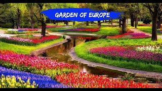 Keukenhof Tulip Garden I Netherlands  Garden of Europe I [upl. by Adair135]