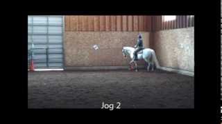 Western Dressage To Jog or Not to Jog [upl. by Lilian]