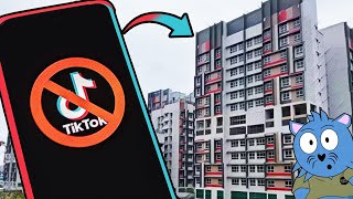 Why the New TikTok Ban is Similar to BTO in S’pore [upl. by Lenz970]