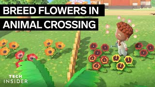 How To Breed Flowers In Animal Crossing New Horizons [upl. by Rockey]