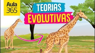 Las Teorías Evolutivas Darwin y Lamarck  Videos Educativos Aula365 [upl. by Anivlac]