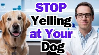 STOP Yelling at Your Dog [upl. by Beal]