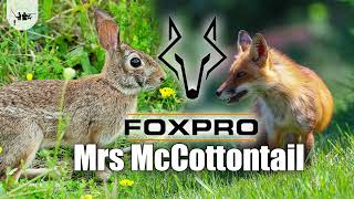 Cottontail Distress Predator Call FOXPRO  Mrs McCottontail [upl. by Alleynad]