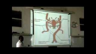 Embryology  Dr Sherif Fahmy CVS part 3 [upl. by Keith972]