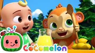 Lets Make Lemonade 🍋  CoComelon Animal Time  Animal Nursery Rhymes [upl. by Eniarol]