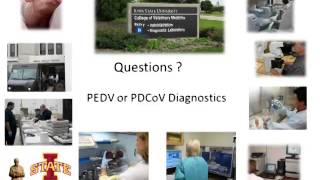 Dr Rodger Main  Porcine Epidemic Diarrhea Virus PEDv Diagnostics [upl. by Arded947]