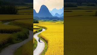 Scenic Relaxation 4K  Scenic Scenes  4K video ultra HD nature shorts amazing beautiful [upl. by Perlman]