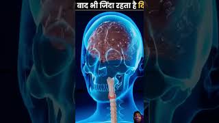 your Brain still works After Death😱 shortsviral viralvideo shorts new death youtubeshorts yt [upl. by Barthol]