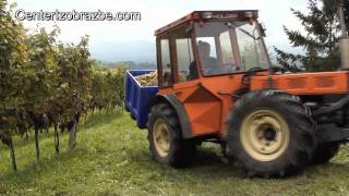 Vinogradniški traktor [upl. by Ariek]