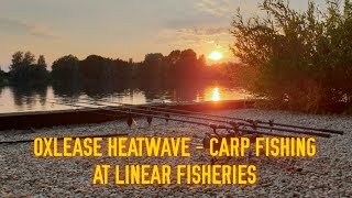 Oxlease Heatwave  Carp Fishing at Linear Fisheries [upl. by Henni]