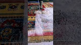 Carpet cleaning viralvideo shortvideo shortsfeed carpetcleaning [upl. by Adnovahs71]